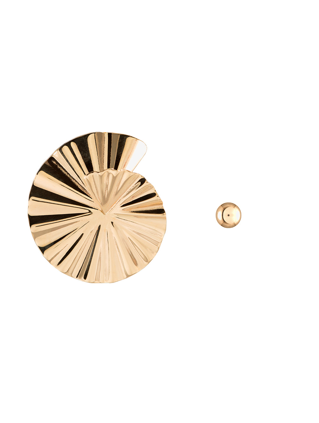 Spiral Shell Earrings N°2